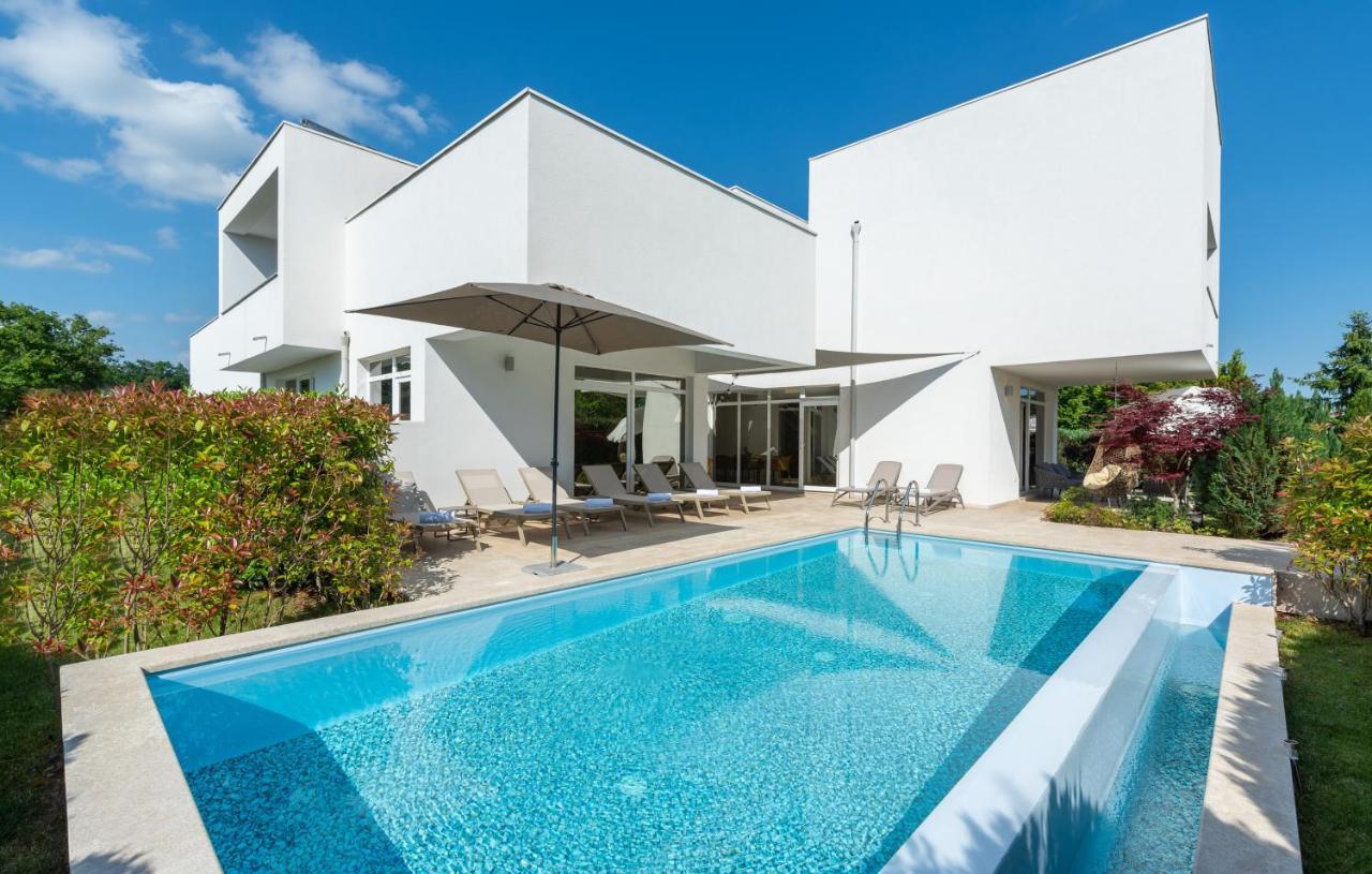 Villa Kate Istria Zminj Exterior photo